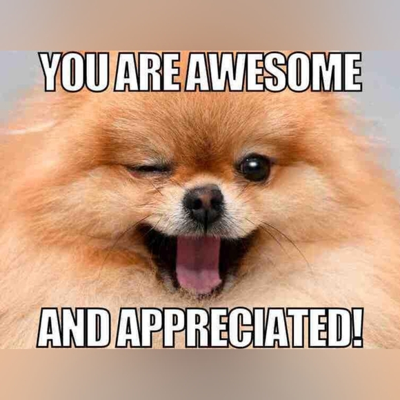 LEAVE A COMMENT IF YOU WANT SHARES!  💞 - Picture 3 of 7